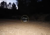 Non-developable land for sale on España, L'Olleria, ref: TR228476 photo