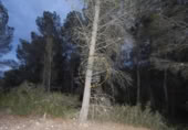 Non-developable land for sale on España, L'Olleria, ref: TR228476 photo