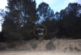 Foto 8