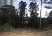 Non-developable land for sale on España, L'Olleria, ref: TR228476 photo