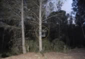 Non-developable land for sale on España, L'Olleria, ref: TR228476 photo