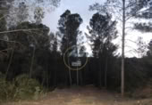Non-developable land for sale on España, L'Olleria, ref: TR228476 photo
