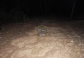 Non-developable land for sale on España, L'Olleria, ref: TR228476 photo