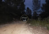 Non-developable land for sale on España, L'Olleria, ref: TR228476 photo