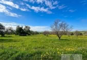 Non-developable land for sale on España, Bollullos Par del Condado, ref: TR391198 photo