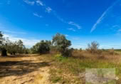 Non-developable land for sale on España, Bollullos Par del Condado, ref: TR391198 photo