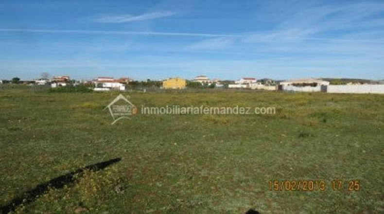 Cáceres - Cáceres - 1000m2