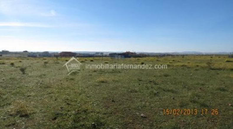 Cáceres - Cáceres - 1000m2