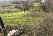 Detached villa with land for sale on España, Ponferrada, ref: TR297946 photo