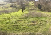 Detached villa with land for sale on España, Ponferrada, ref: TR297946 photo