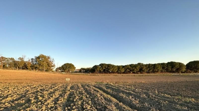 Seville - Las Cabezas de San Juan - 5431m2