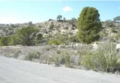 Terreno no urbanizable en venta en la España, Molina de Segura, ref: TR142042 foto