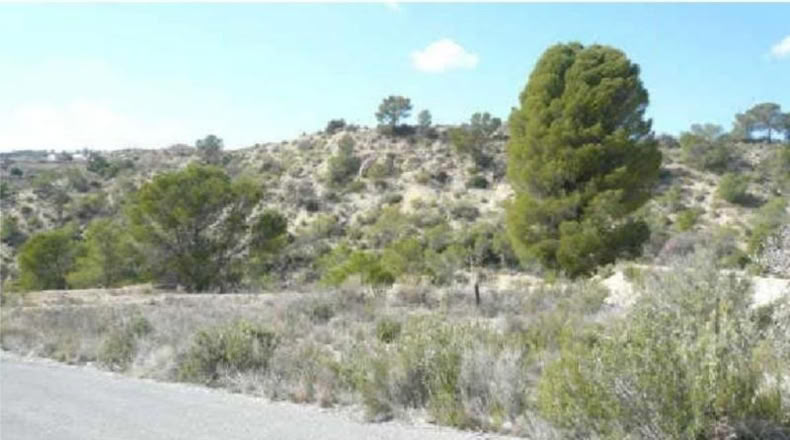 Murcia - Molina de Segura - 24546m2