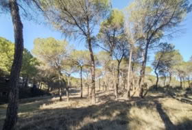 Villalgordo del Júcar 1878&nbsp;m²