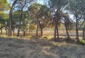 Villalgordo del Júcar 1878&nbsp;m²
