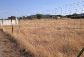 Malpartida de Cáceres 3000&nbsp;m²