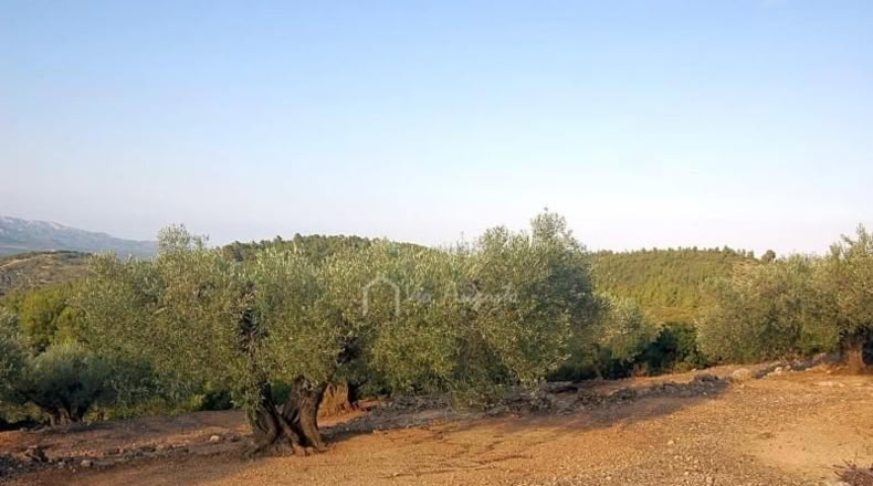 Tarragona - el Perelló - 3559m2