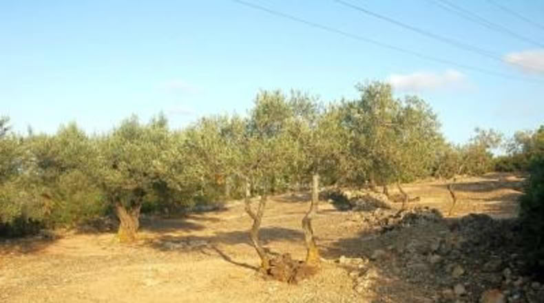 Tarragona - el Perelló - 3559m2