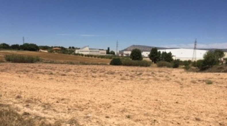 Albacete - Almansa - 12876m2