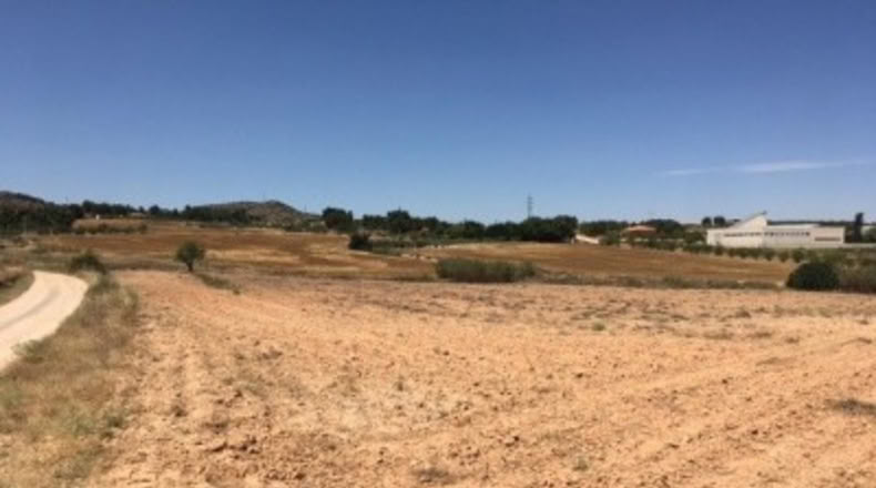 Albacete - Almansa - 12876m2