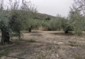 Terreny no urbanitzable en venda a la España, Calasparra, ref.: TR119439 foto