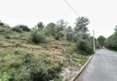Parcel·la urbanitzable en venda a la España, la Bisbal del Penedès, ref.: TR121742 foto