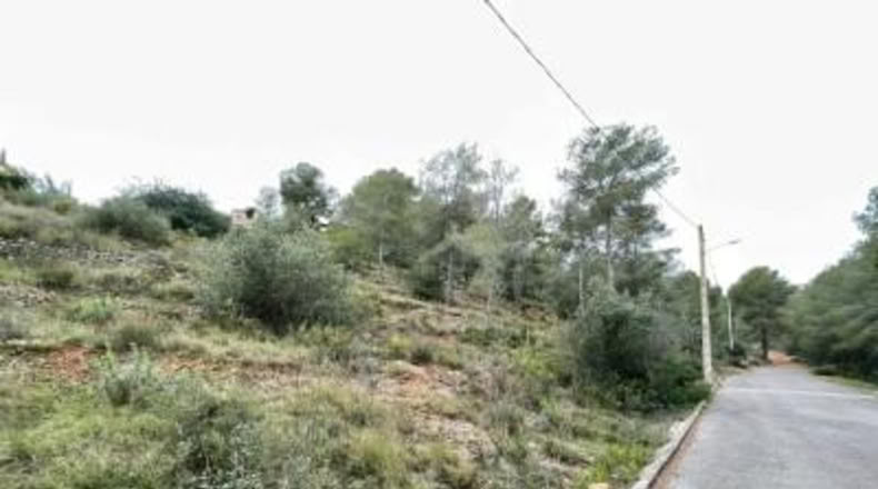 Tarragona - la Bisbal del Penedès - 1064m2