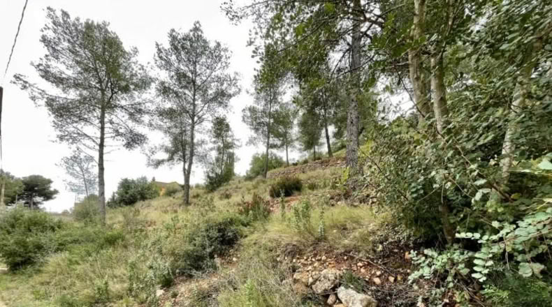 Tarragona - la Bisbal del Penedès - 1064m2