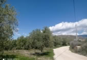 Terreny no urbanitzable en venda a la España, Gérgal, ref.: TR145879 foto