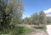 Terreny no urbanitzable en venda a la España, Gérgal, ref.: TR145879 foto