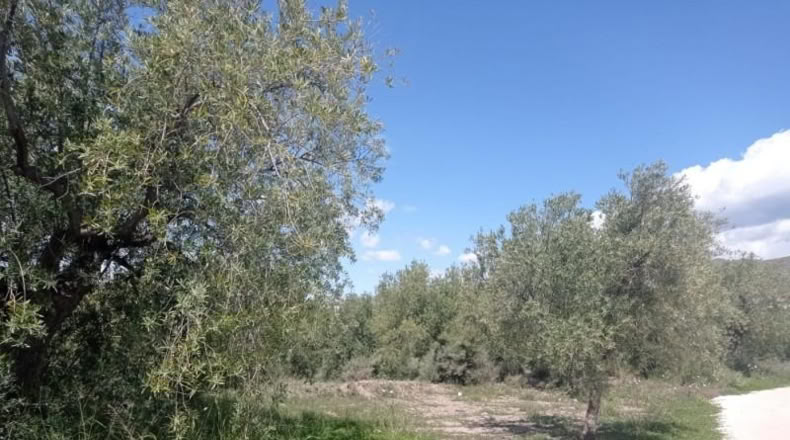 Almeria - Gérgal - 3900m2