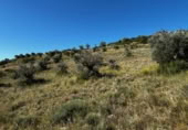 Terreny no urbanitzable en venda a la España, Carabaña, ref.: TR326732 foto