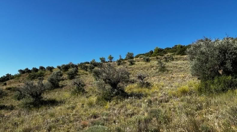 Comunidad de Madrid - Carabaña - 7848m2