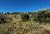Terreny no urbanitzable en venda a la España, Carabaña, ref.: TR326732 foto