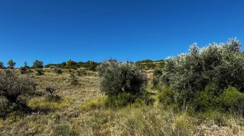 Comunidad de Madrid - Carabaña - 7848m2