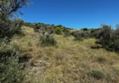 Terreny no urbanitzable en venda a la España, Carabaña, ref.: TR326732 foto