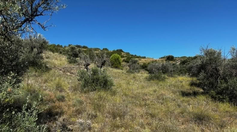 Comunidad de Madrid - Carabaña - 7848m2
