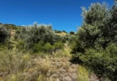Terreny no urbanitzable en venda a la España, Carabaña, ref.: TR326732 foto