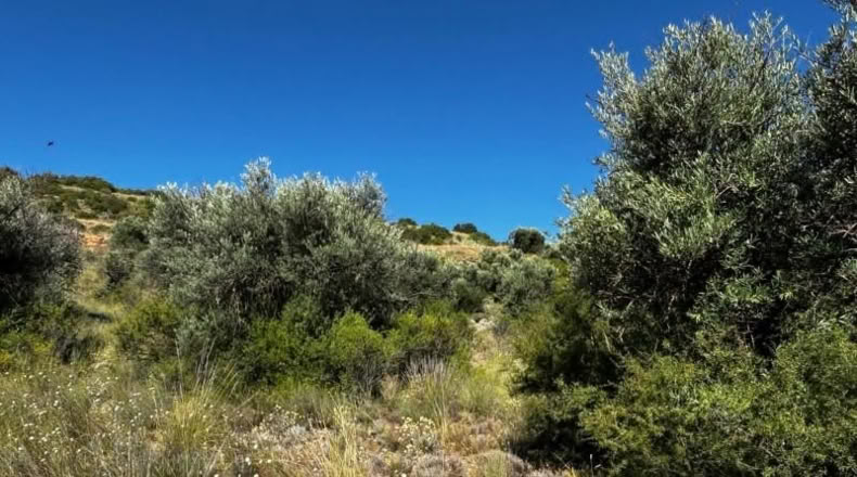 Comunidad de Madrid - Carabaña - 7848m2