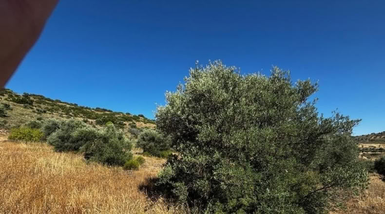 Comunidad de Madrid - Carabaña - 7848m2
