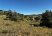 Terreny no urbanitzable en venda a la España, Carabaña, ref.: TR326732 foto