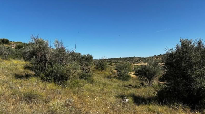 Comunidad de Madrid - Carabaña - 7848m2