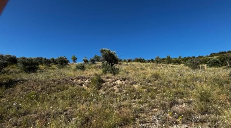 Comunidad de Madrid - Carabaña - 7848m2