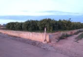 Terreno no urbanizable en venta en la España, Moncada, ref: TR309365 foto