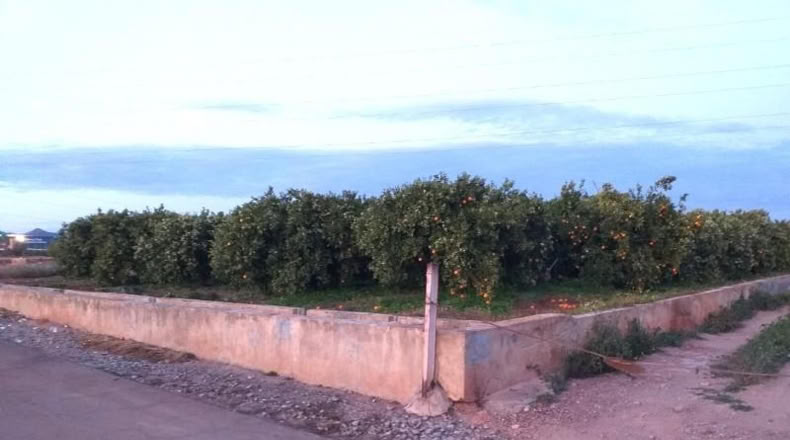 Valencia - Moncada - 2490m2