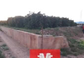Terreno no urbanizable en venta en la España, Moncada, ref: TR309365 foto