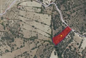 El Vellón 5900&nbsp;m²