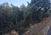 Terreno no urbanizable en venta en la España, Palomero, ref: TR361594 foto