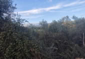 Terreno no urbanizable en venta en la España, Palomero, ref: TR361594 foto