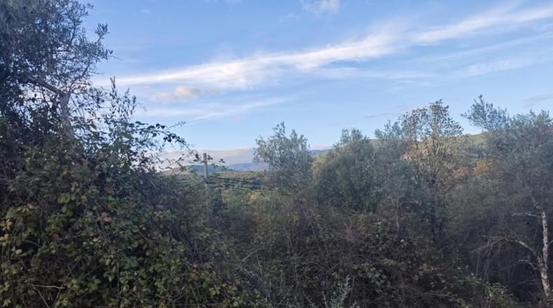 Caceres - Casar de Palomero - 7202m2
